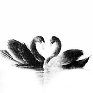 Meet your Posher, Sidney